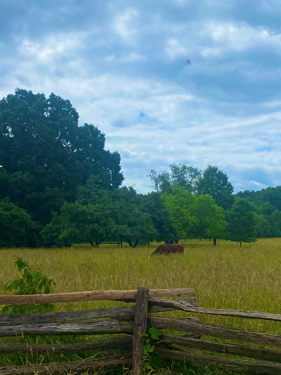 On Monday, our 3rd grade students took a field trip to Piscataway Park!