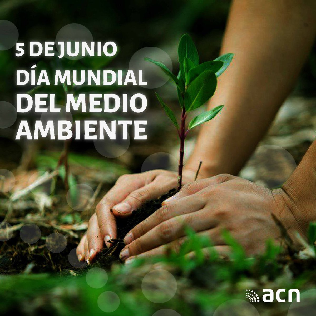 mileivis_perez's tweet photo. 🌎 Hoy 5 de junio, Día Mundial del Medio Ambiente. 
#NuestrasTierras
#NuestroFuturo. 
#ArtemisaJuntosSomosMás https://t.co/C4GfBSPBmZ