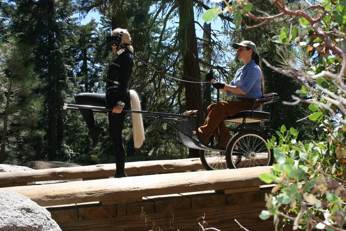 Pony Play in Sequoia National Park https://t.co/CCFLIIgglL<a href="/tag/ponyplay"class="tags"><span>#ponyplay</span></a>