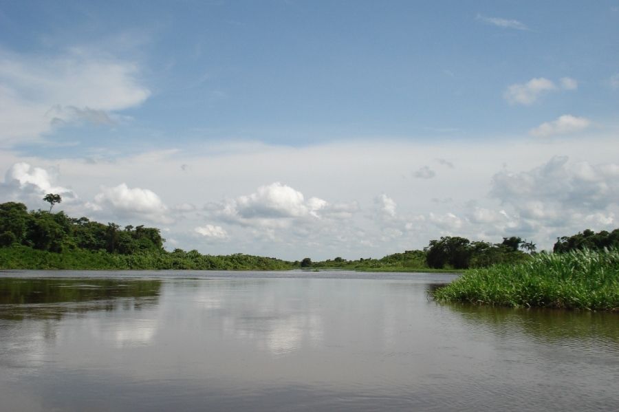 BioParques tweet media