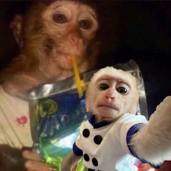 Anthony ☉ ℝ ∀ tweet media