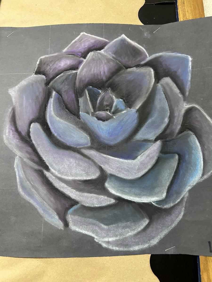 Danielle Corrigan tweet media