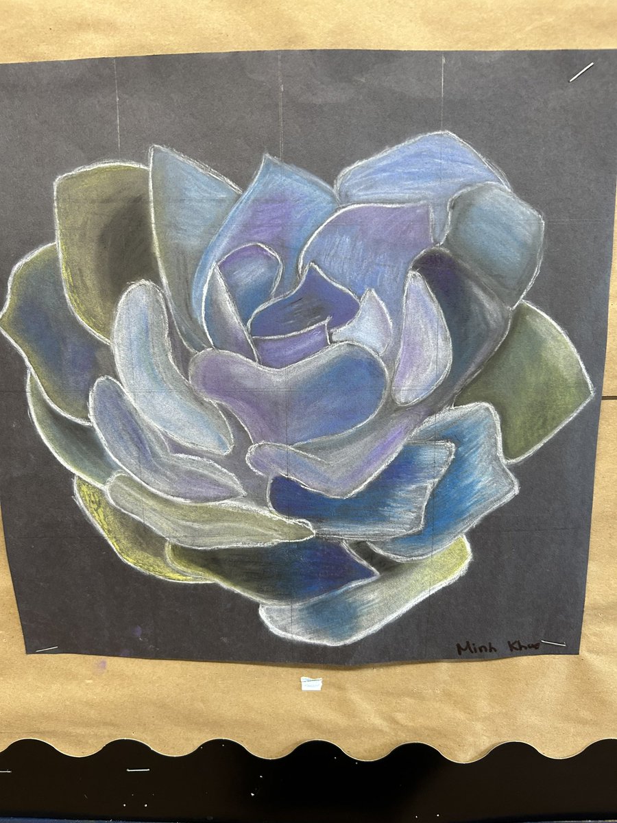 Danielle Corrigan tweet media