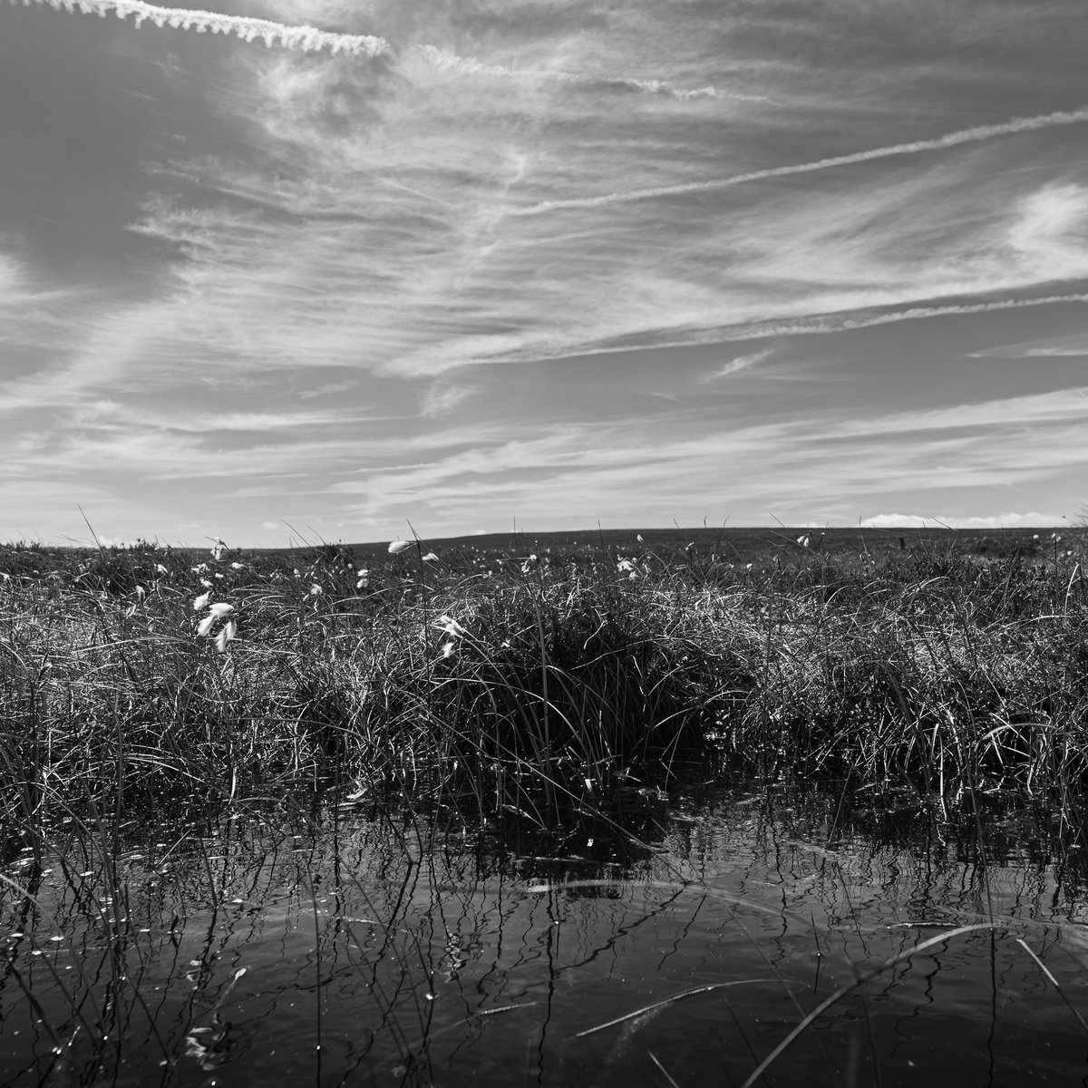 basculeteller's tweet photo. Langsett and Pike Lowe in b&w #photography #landscape #Yorkshire #Penistone #PeakDistrict #7km #Flâneur #psychogeography #DarkFairytale #RuralMarginalia #bw #BlackAndWhite #monochrome #SonyFE1635PZf4 https://t.co/8XCQGlfpOG