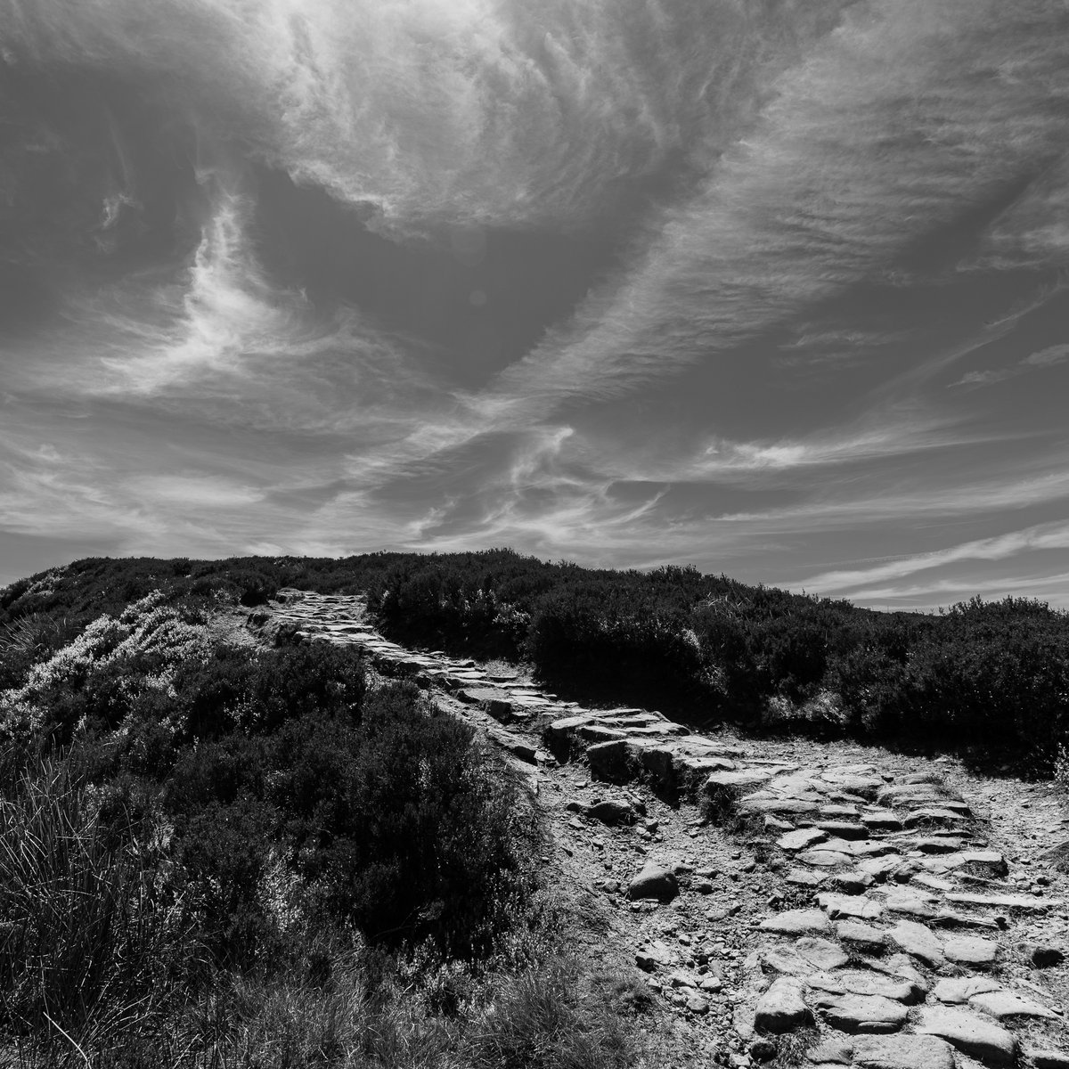 basculeteller's tweet photo. Langsett and Pike Lowe in b&w #photography #landscape #Yorkshire #Penistone #PeakDistrict #7km #Flâneur #psychogeography #DarkFairytale #RuralMarginalia #bw #BlackAndWhite #monochrome #SonyFE1635PZf4 https://t.co/8XCQGlfpOG