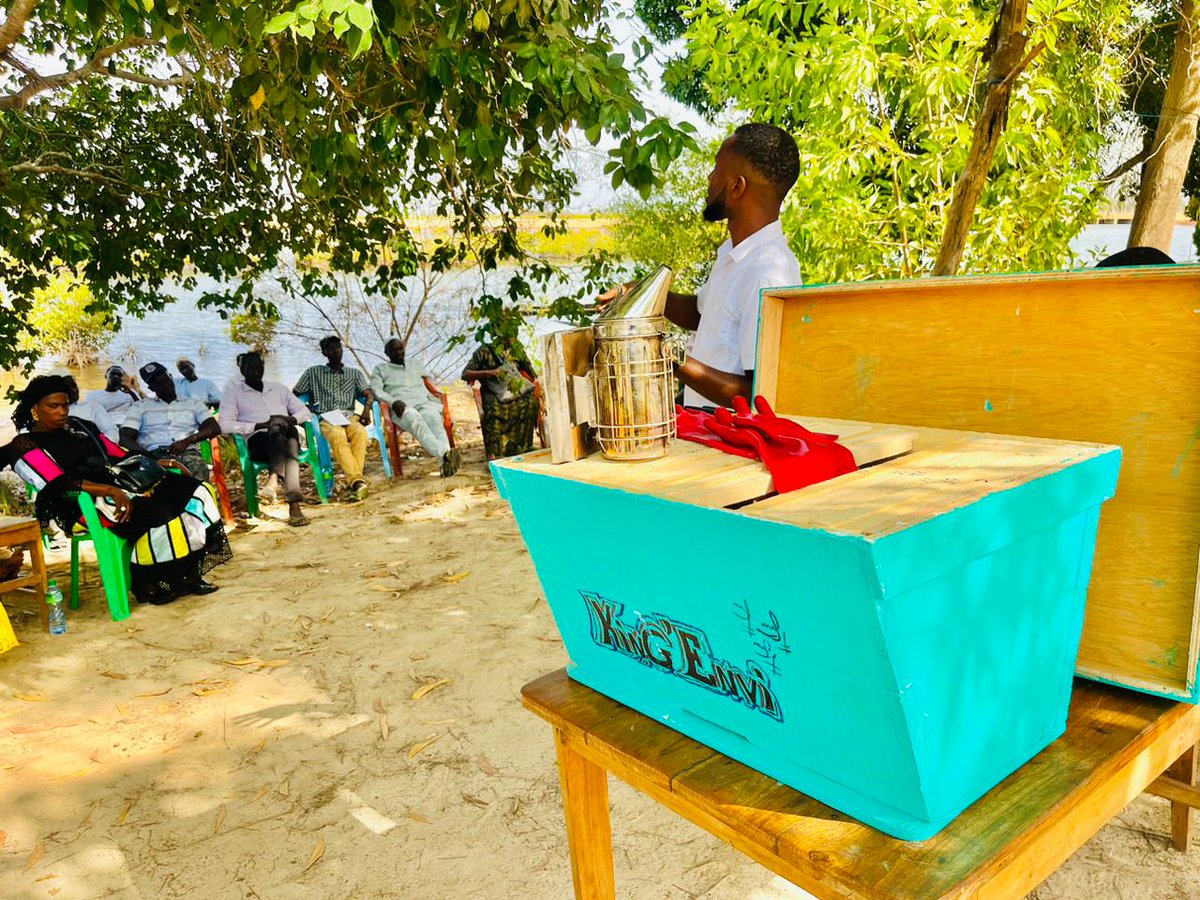 Développer une activité génératrice de revenus tout en garantissant un écosystème vivable, viable et durable pour les futures générations. C’est ce que le projet EMANK cherche à accomplir en formant 4 OCB de lAMCP Niamone-Kalounaye à l'apiculture à Koubalang.
#WorldEnvironmentDay