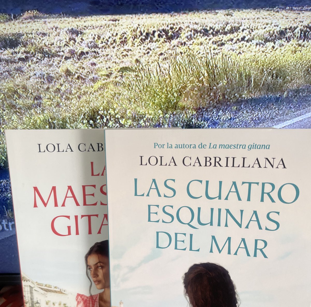 cataleyados's tweet photo. El otro día me di cuenta que unos indeseables en los tuits virales de @de_infantil ofrecían gratis sus libros.
He comprado dos para regalar. El odio no puede tener otra respuesta que no sea acallarlo con amor y cariño. #nomequedoquietaanteelracismo. https://t.co/No6pflvuS7