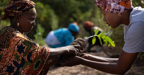 BioParques tweet media
