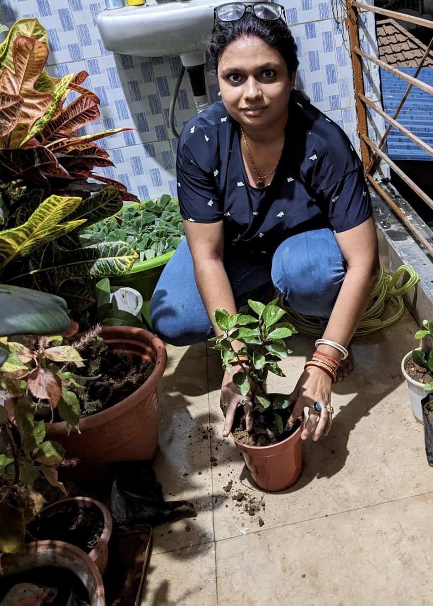 drtan_ya's tweet photo. World Environment Day
PM Narendra Modi ji launches tree plantation campaign on World Environment Day-Under the campaign, 'Ek Ped Maa Ke Naam', millions of trees will be planted across the country.
Here’s doing my part https://t.co/NJUWiW98DB