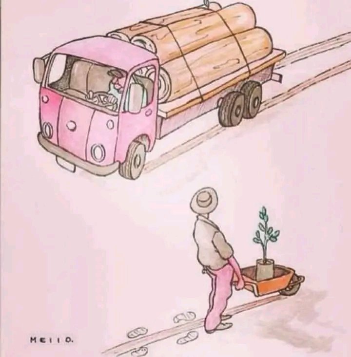 abel_roo's tweet photo. De que sirve que nosotros estemos haciendo consciencia y empecemos a reforestar, nuestras calles y terrenos...si la encargada de hacer cumplir la ley @SEMARNAT_mx sigue dando permiso a empresas para acabar con la naturaleza. Ellos destruyen y ustds cobran. 😏
#selvalacandona https://t.co/9o3rmIZeUG