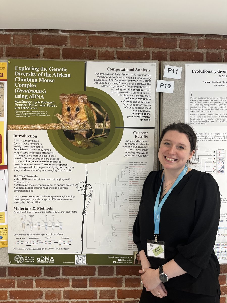 Images from some of <a href="/NHM_London/">Natural History Museum</a>'s aDNA group in the Ancient Biomolecules of Plants, Animals, and Microbes Conference, held in Cambridge. Grateful for this team and <a href="/SelBrace/">Selina Brace</a> #AncientBio24