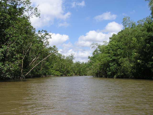 BioParques tweet media