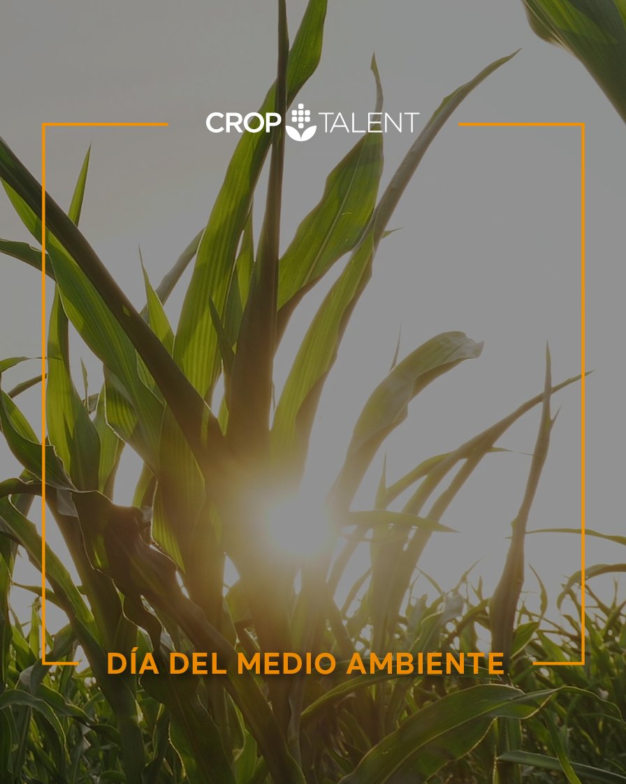 "Nuestra tierra, nuestro futuro" 👉 Ese fue el lema que eligió la ONU para el Día del medio ambiente ✅
#diadelmedioambiente