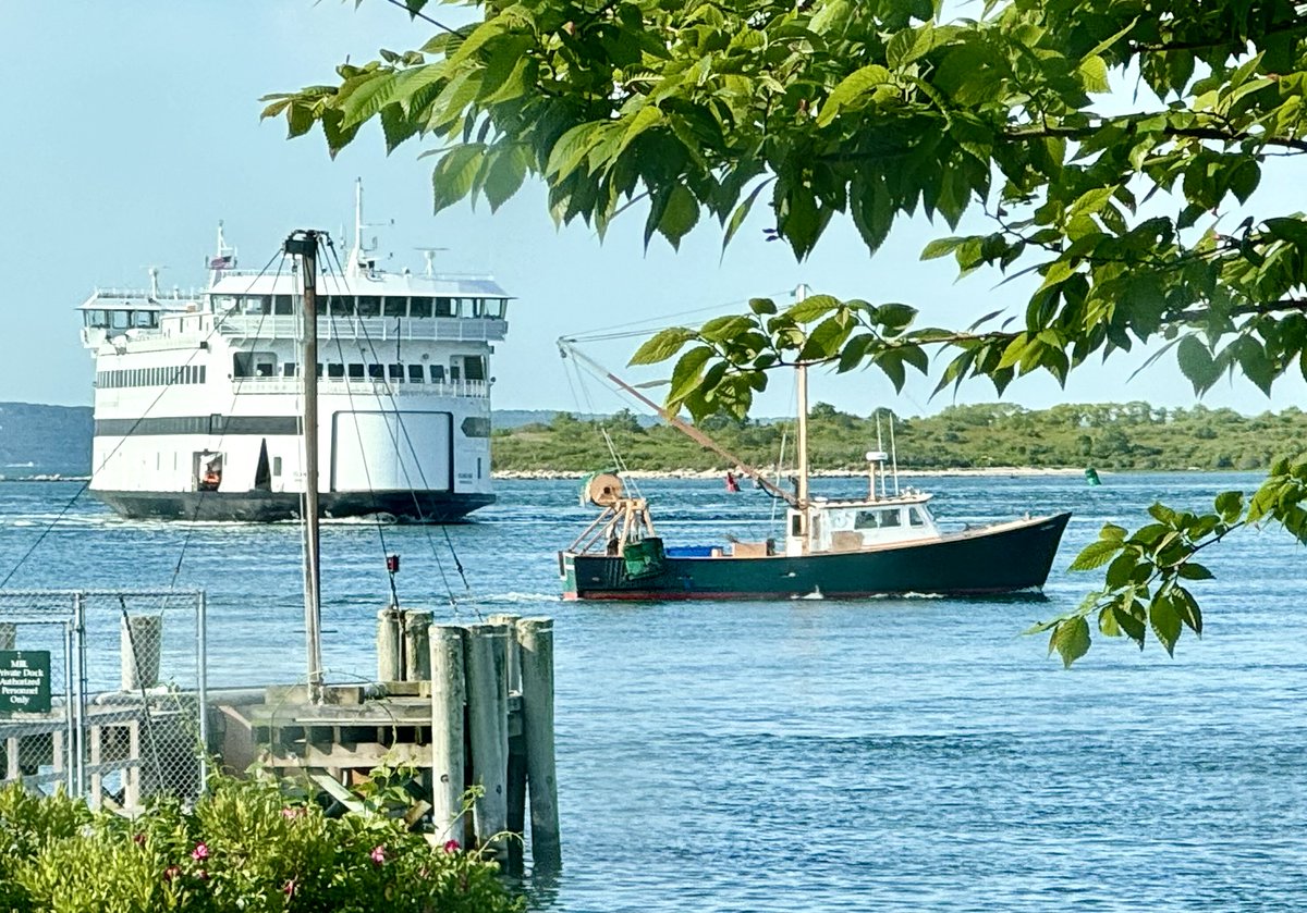Marine Biological Laboratory (MBL) tweet media