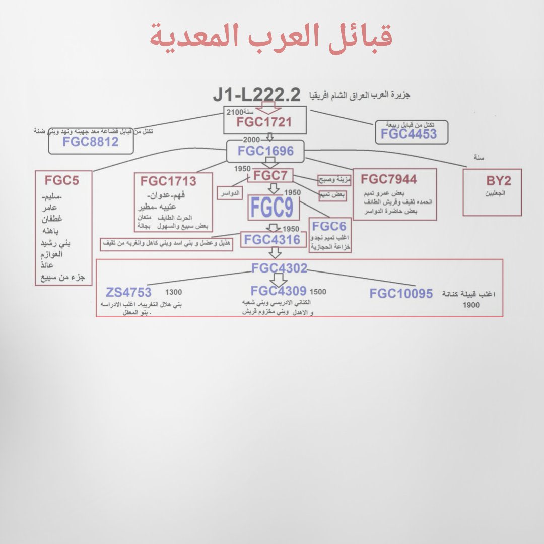 مشجرة قبائل معد حسب مواريثهم