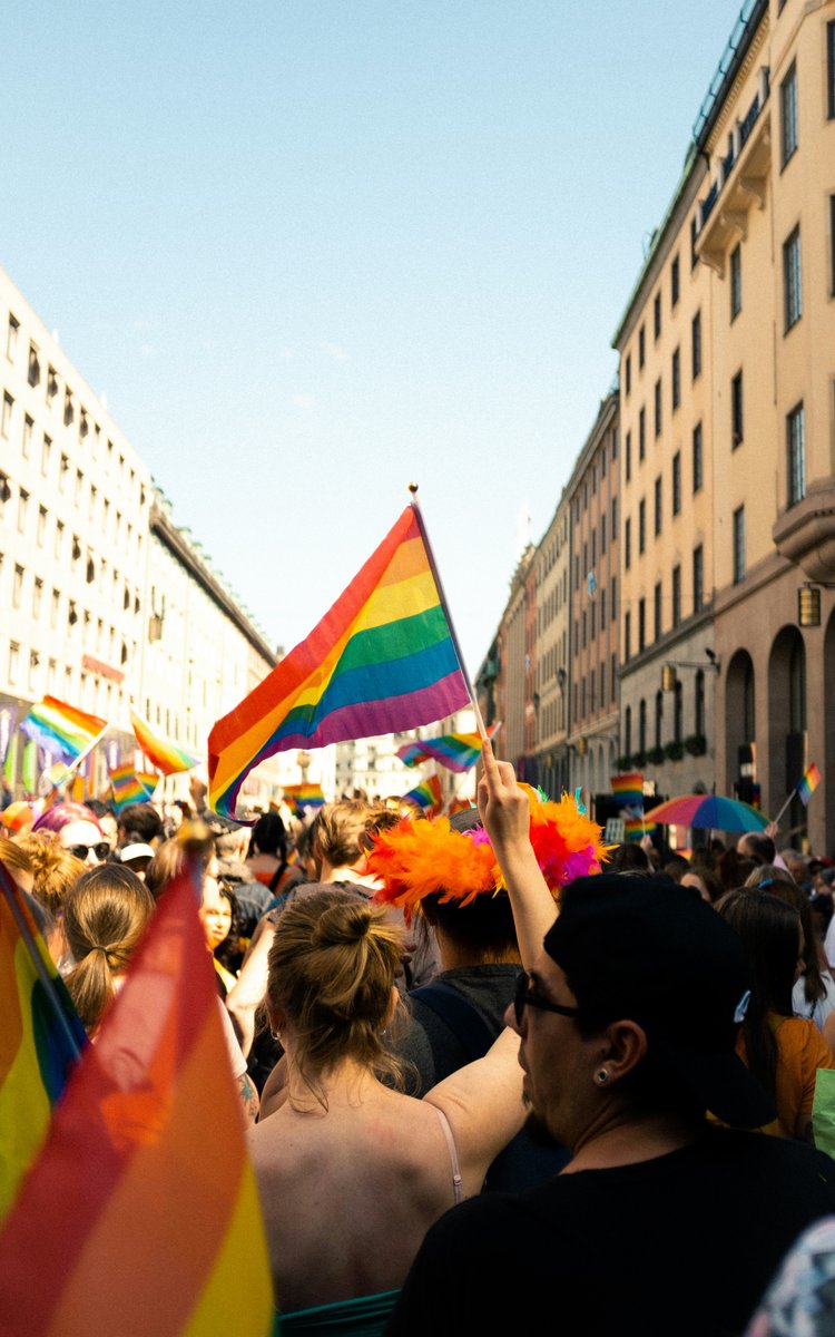 June is Pride Month! This month we celebrate and uplift LGBTQIA+ identities. Pride month began after the Stonewall Rebellions, a series of gay liberation protests starting in 1969. Visit the link in our bio to learn more about the history of gay rights in the United States.