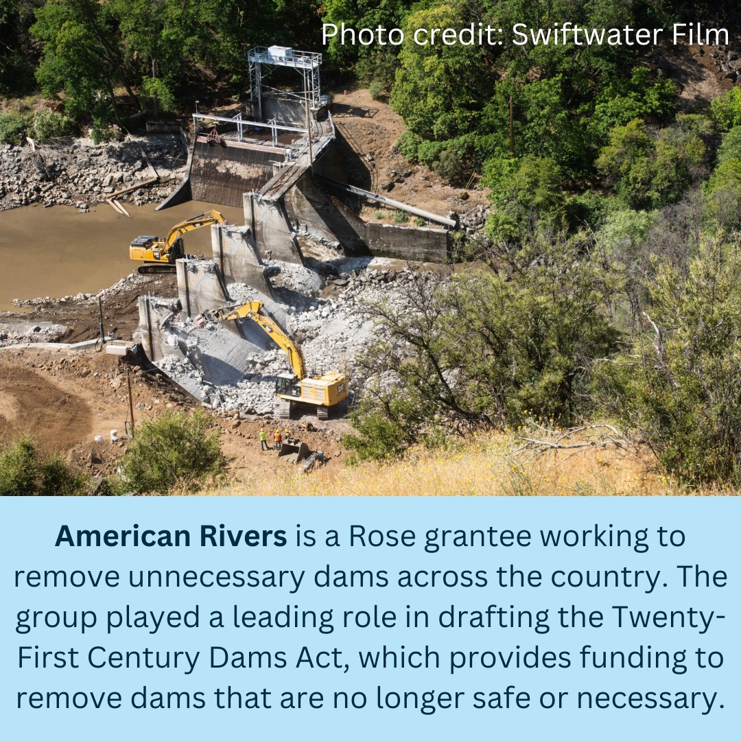 Rose Foundation tweet media