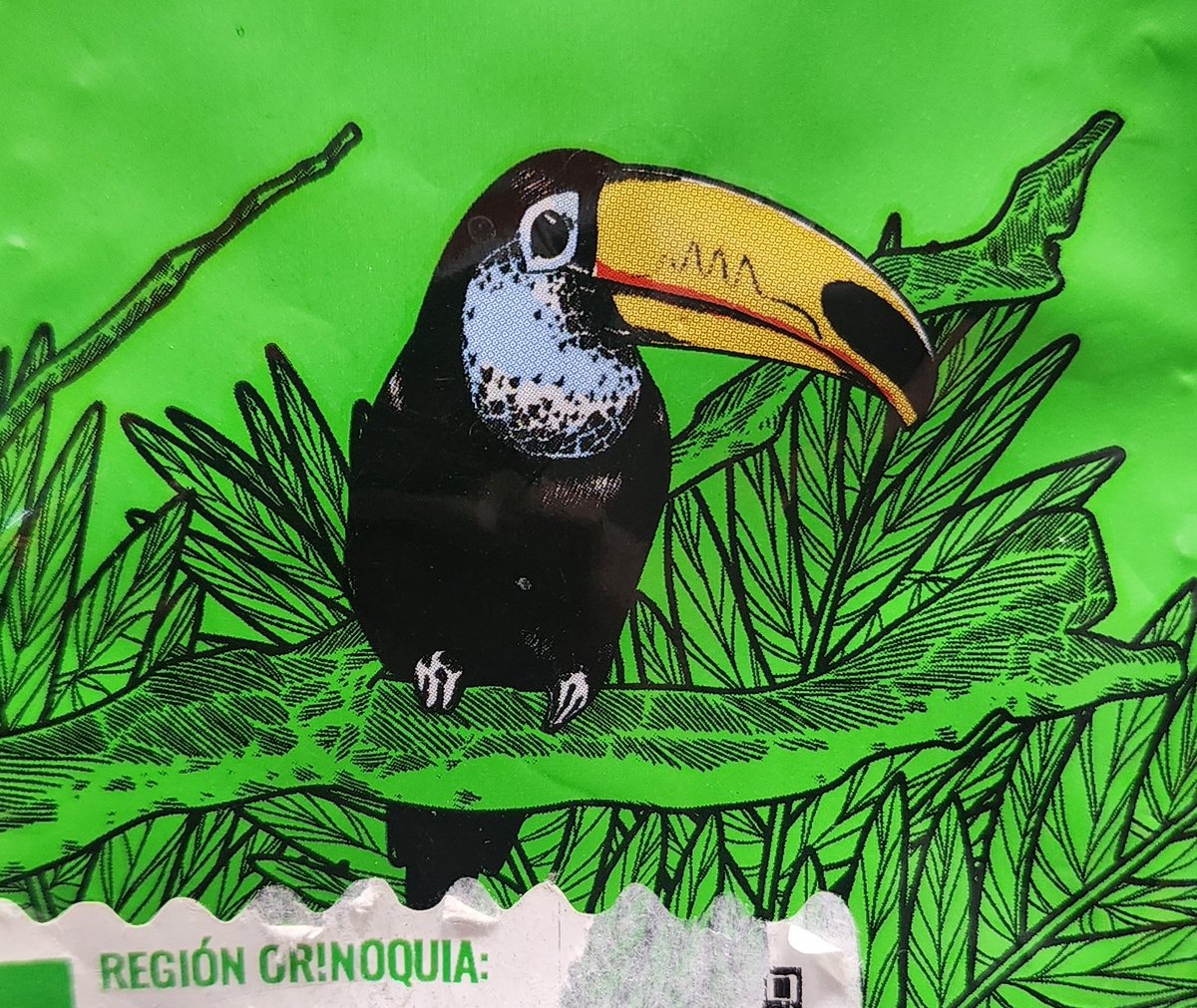 ferayqui's tweet photo. Un tucán que no está en Colombia, es el tucán que más aparece en productos de Colombia.
*en el país hay 21 especies de tucanes.
#AvifaunaColombiana https://t.co/WOvyBos39p