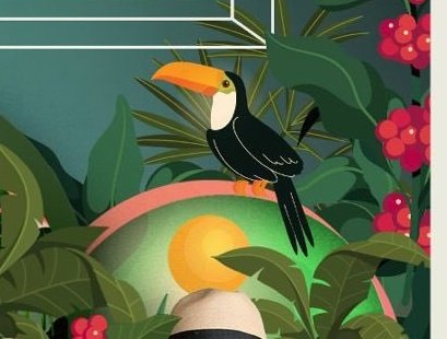 ferayqui's tweet photo. Un tucán que no está en Colombia, es el tucán que más aparece en productos de Colombia.
*en el país hay 21 especies de tucanes.
#AvifaunaColombiana https://t.co/WOvyBos39p