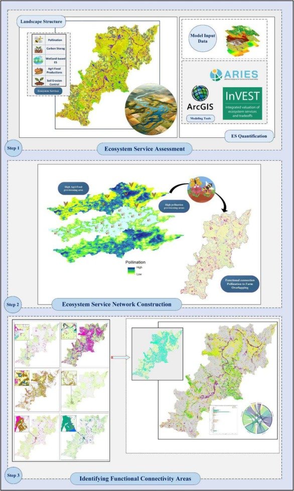 1/ 📢 New Publication Alert! 🌾 Excited to share a chapter of my PhD in Ecosystem Services journal! 📚

🔗 Title: A Functional Connectivity Approach in the Canadian Prairies. We found that 29% of ecosystem service interactions occur in key areas for conservation.