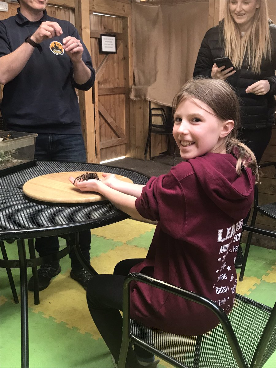MidgleySchool's tweet photo. Wow what a fantastic day we have had today @gulliversfun We have amazing rooms in the Castle Hotel. We’ve held tarantulas and snakes in the animal experience. We’ve created our own theme park rides and had a fun music session #gulliversresidential https://t.co/mF7a1wyQ0F
