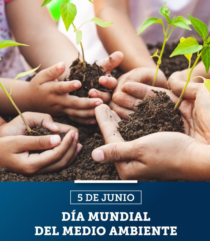 🌳 El Día Mundial del Medio Ambiente es una fecha para fomentar la conciencia y la acción global a favor de la protección del planeta. 
👉 En 2024 la campaña del Día Mundial del Medioambiente lleva como lema: "Nuestras tierras, nuestro futuro"
#Cuba
#DíaDelMedioAmbiente