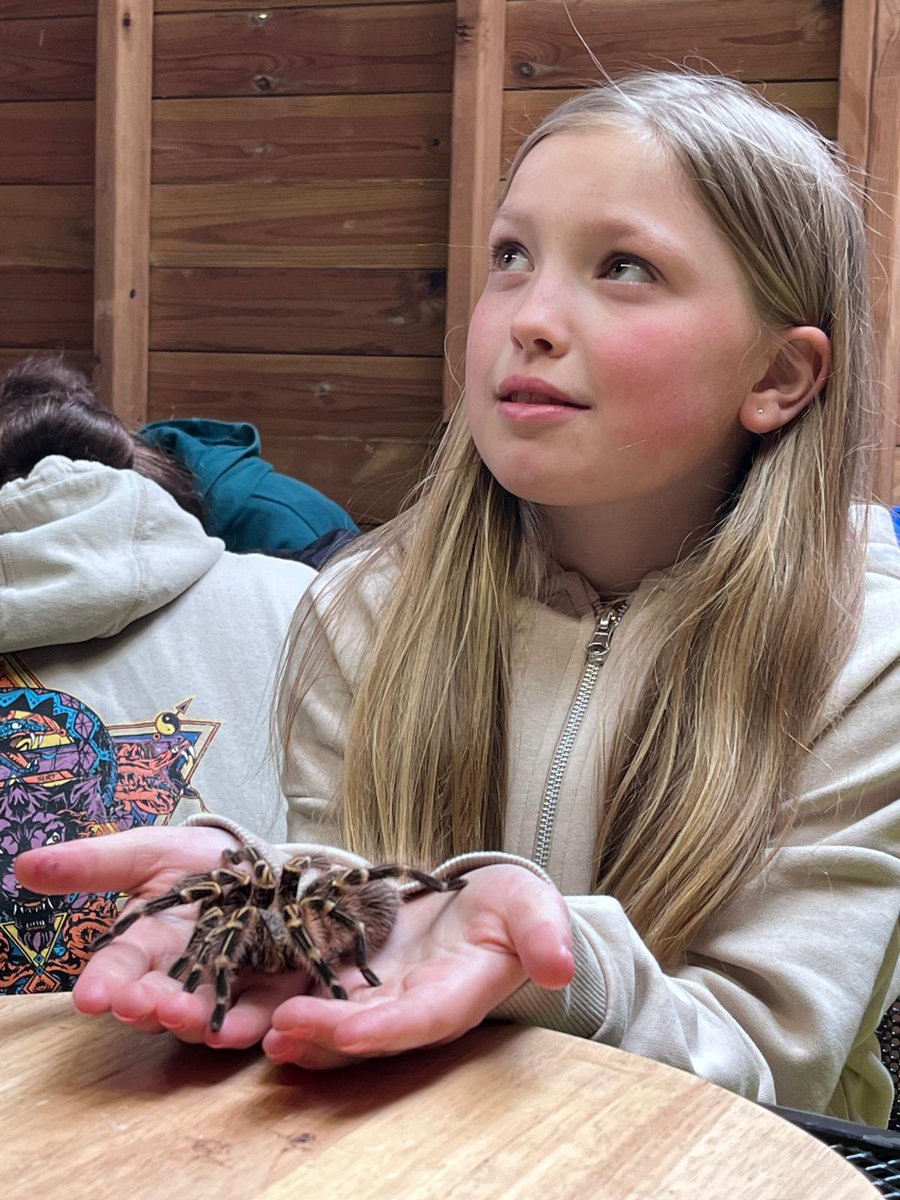 MidgleySchool's tweet photo. After lunch we got to play in the soft play gym. We’ve fed reindeer, goats and sheep and stroked an owl🦉 We’ve all had tea and just getting ready for the hoe down party this evening  🤠 https://t.co/e97gBFI3J3