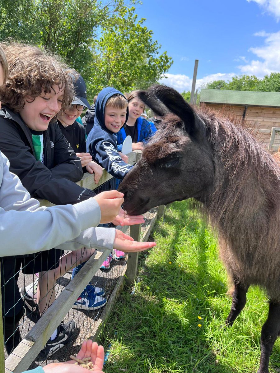 MidgleySchool's tweet photo. After lunch we got to play in the soft play gym. We’ve fed reindeer, goats and sheep and stroked an owl🦉 We’ve all had tea and just getting ready for the hoe down party this evening  🤠 https://t.co/e97gBFI3J3