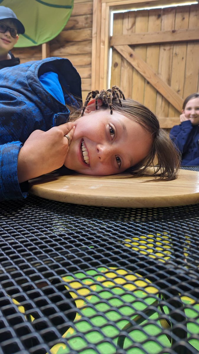 MidgleySchool's tweet photo. After lunch we got to play in the soft play gym. We’ve fed reindeer, goats and sheep and stroked an owl🦉 We’ve all had tea and just getting ready for the hoe down party this evening  🤠 https://t.co/e97gBFI3J3