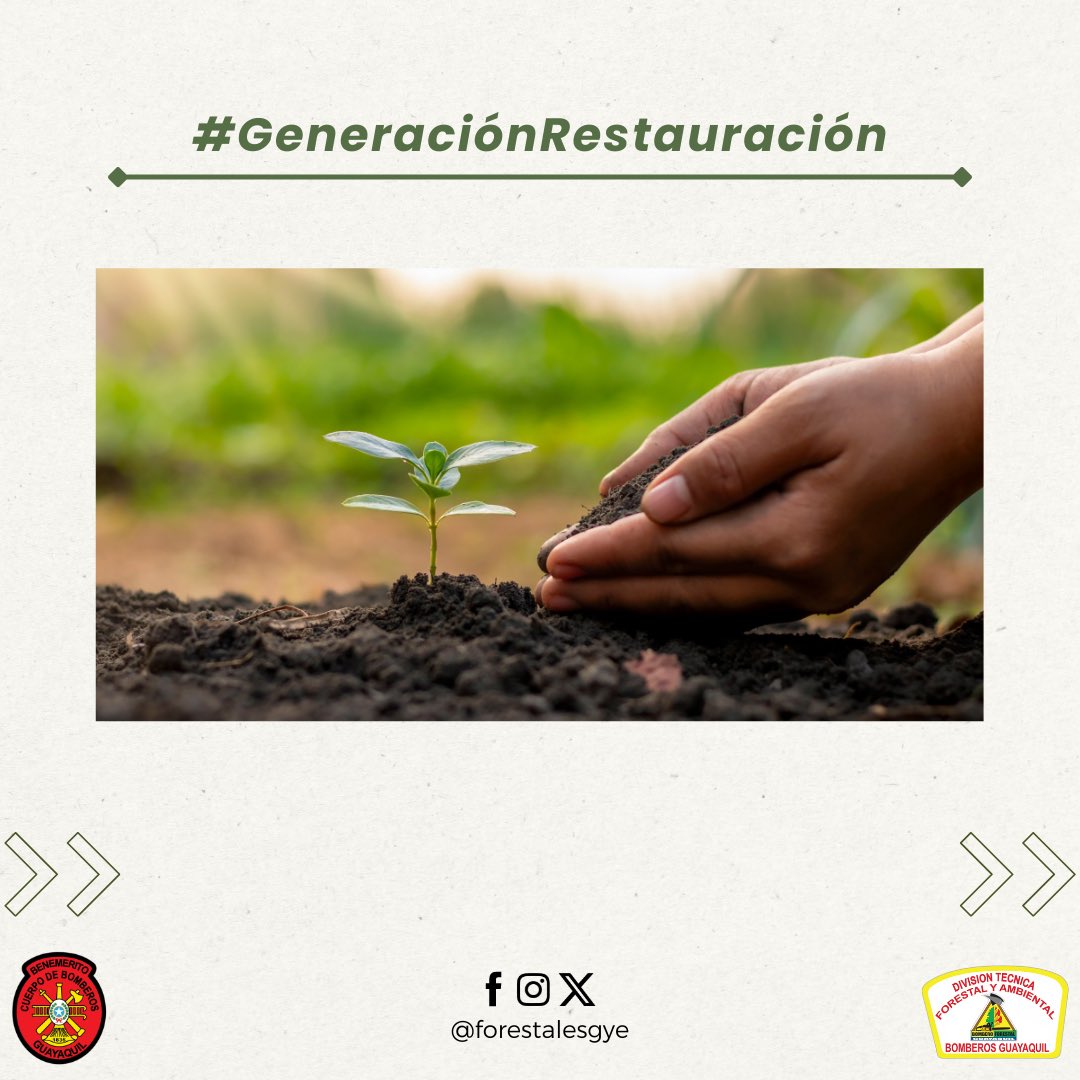 forestalesgye's tweet photo. El Día Mundial del Ambiente, es uno de los días internacionales más importantes para el medio ambiente. El evento se ha convertido en la mayor plataforma mundial de divulgación medioambiental, con millones de personas de todo el mundo comprometidas con la protección del planeta. https://t.co/zQJLSIJXqm