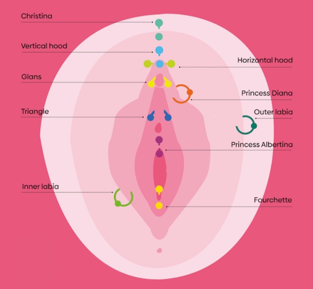 WarrenmatosP's tweet photo. Diagrama de perforaciones genitales femeninas. 
Cotizaciones para este tipo de perforación corporal, escribir el privado. https://t.co/plMTi1dXSB