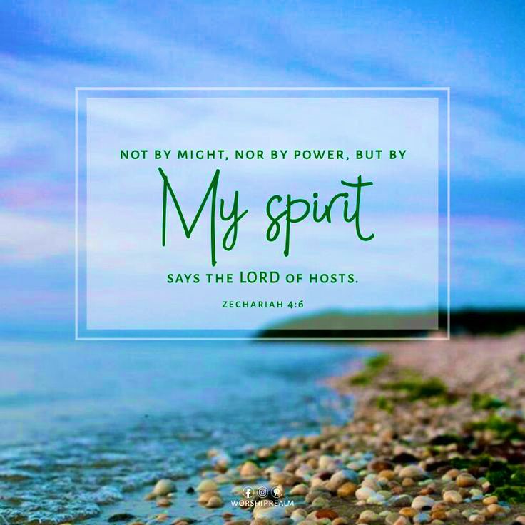 𝕁𝕖𝕤𝕤 tweet media