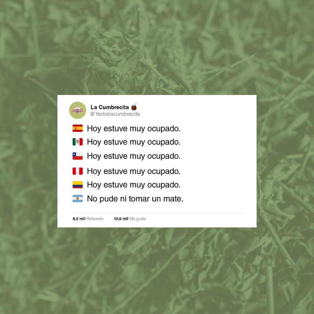 yerbacumbrecita's tweet photo. ¡ÚNICO Y BIEN ARGENTINO! 👏🧉El mate es mucho más que una infusión, es nuestra identidad. En cada rincón del 🌍 hay una manera distinta de decir 'estuve muy ocupado', pero acá decimos 'no pude ni tomar un mate'.😂 ¿Y vos, qué otras frases usás en las que el 🧉 es protagonista? 👀 https://t.co/ewokKG0J9I
