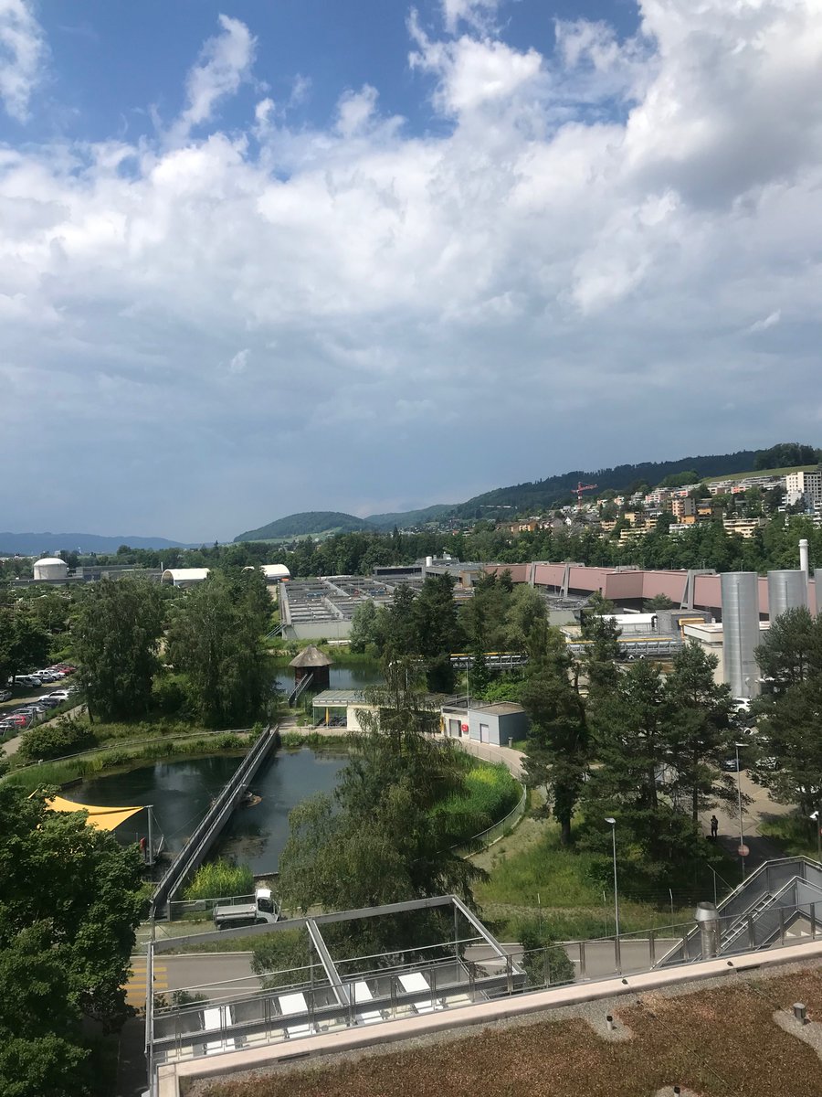 Laurence Strubbe tweet media