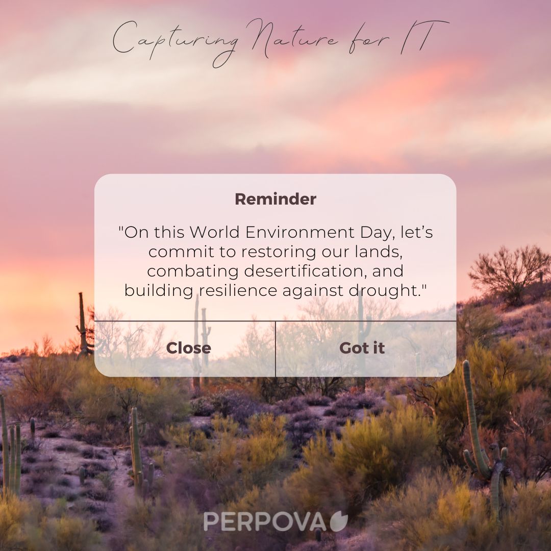 perpovacom's tweet photo. 🌍 On World Environment Day 2024, Perpova Developers is proud to support land restoration, combat desertification, and enhance drought resilience. Let's capture nature for IT and build a sustainable future together! 🌱💧

#WorldEnvironmentDay #Perpova #CapturingNatureForIT https://t.co/LrMBsIBuIG