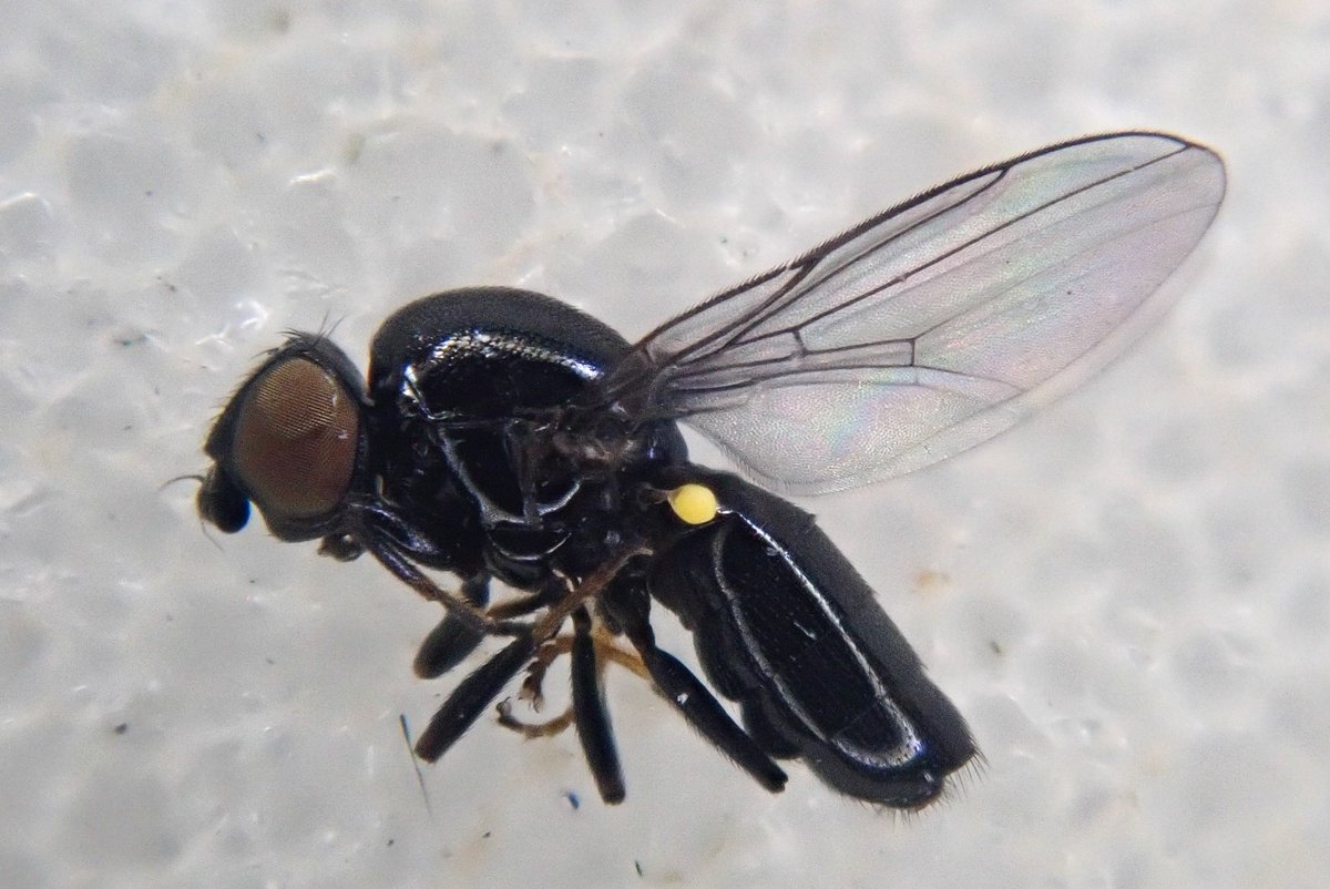 Matt Harrow tweet media