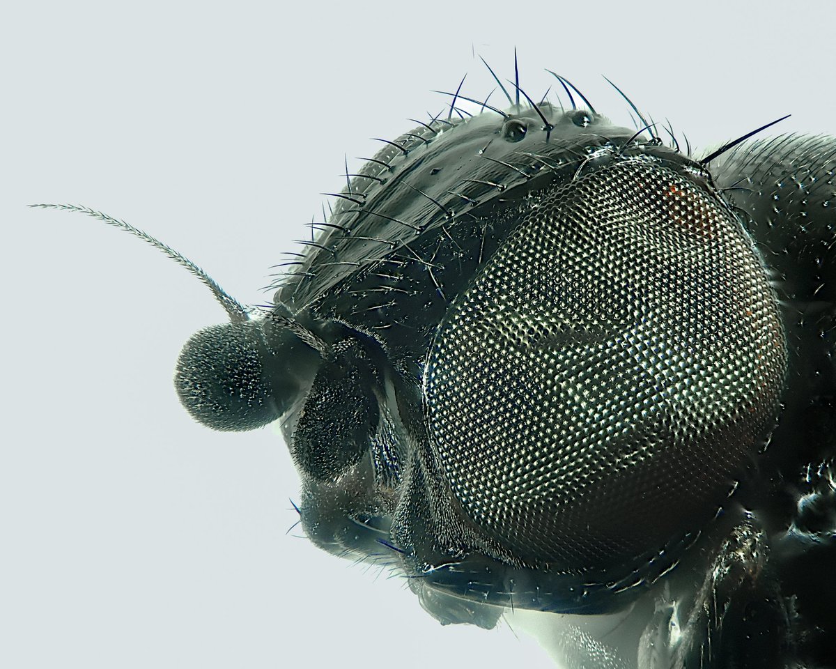 Matt Harrow tweet media