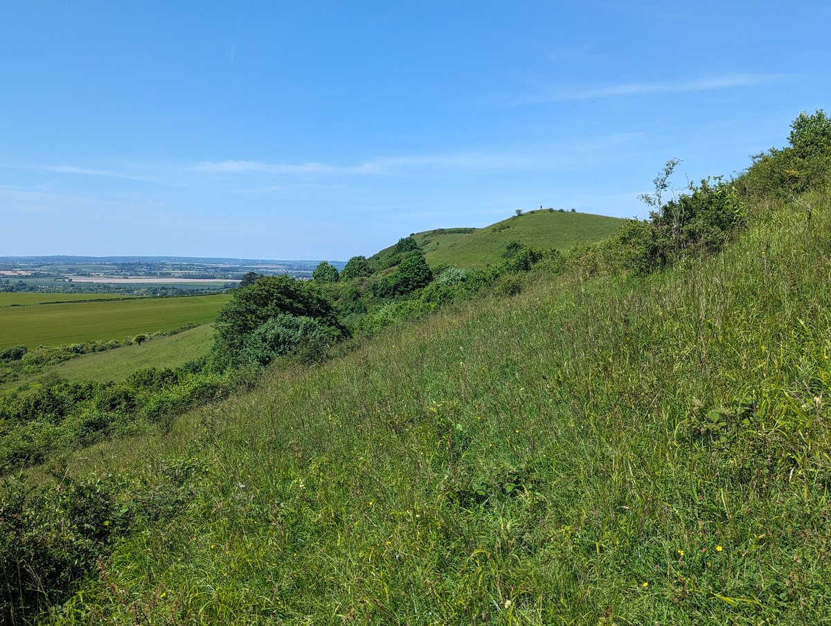 Matt Harrow tweet media