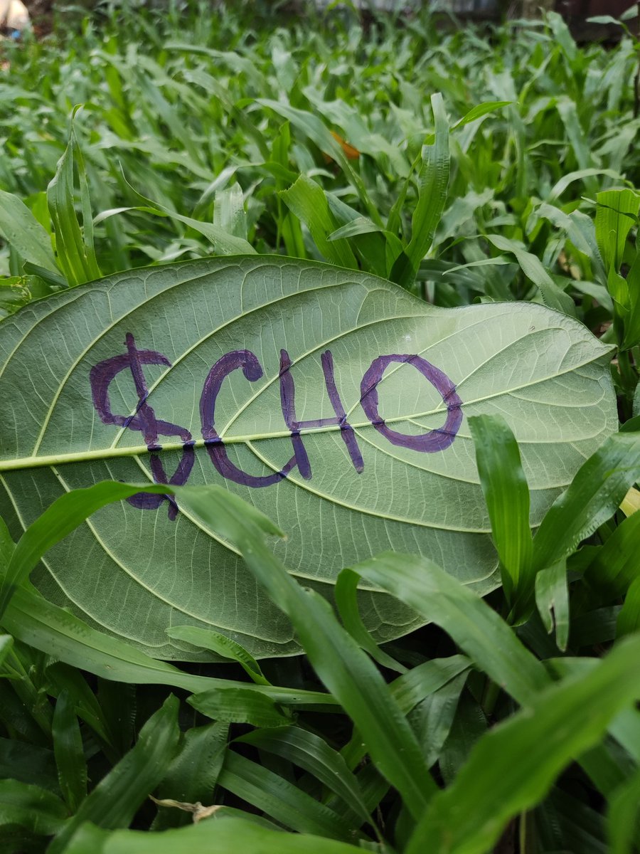 Ray of light 💥 tweet media