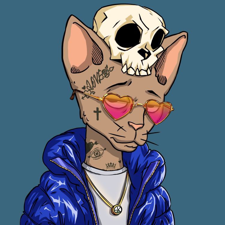 sypsup.sol tweet media