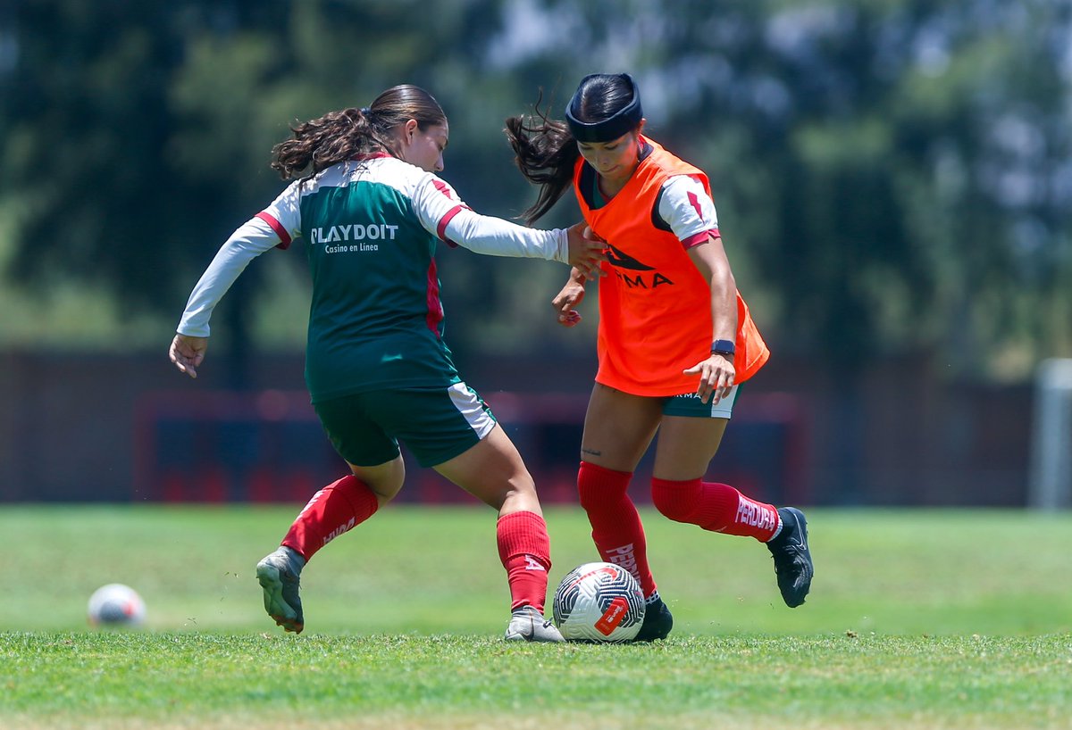 NecaxaFemenil's tweet photo. ✨Continúa la preparación en Casa Club! 

¡El 8 de junio 🔜 recibiremos al equipo de @AtletiDeSLPFem en nuestro primer partido de pretemporada! ⚡️

#FuerzaCentellas ⚡️ https://t.co/SQ7zZSGvw5