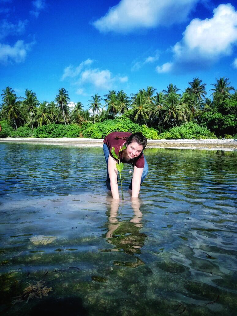 sunshadevol's tweet photo. Happy World Environment Day 2024! Let's unite to protect our planet through small actions that lead to a sustainable, greener future. 🌍🌱 #WorldEnvironmentDay #EcoFriendly https://t.co/ucHdUE0IHE