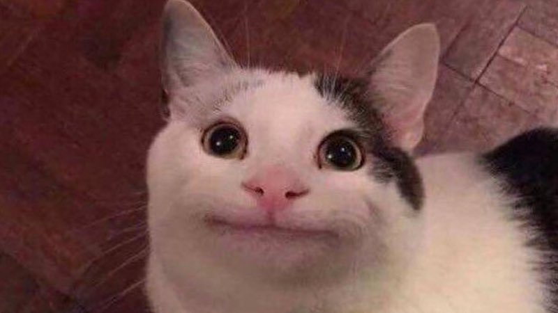 Pierre Castro 🇪🇨 tweet media