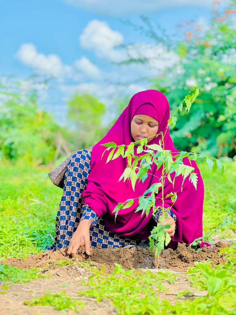SOGPA2's tweet photo. @SOGPA2 members in Jowhar🇸🇴 have celebrated #WorldEnvironmentDay‌ by planting trees as well as educating  children in Schools to protect the plants. Thanks @AhmedSamow for his leadership on this. #GenerationRestoration @UNEP_Africa @HodderClimate @UNSomalia https://t.co/EJaCXiTzLC
