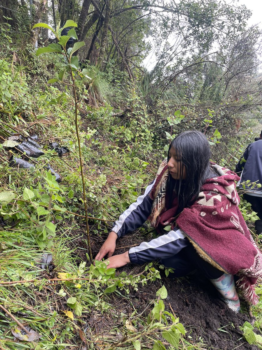 VicunaFlor's tweet photo. Todo lo que hagas, hazlo con el corazón. 
Que de ahí viene la recompensa 🙌🏻

🌱1000 árboles sembrados ✨ https://t.co/csfyk1zflz
