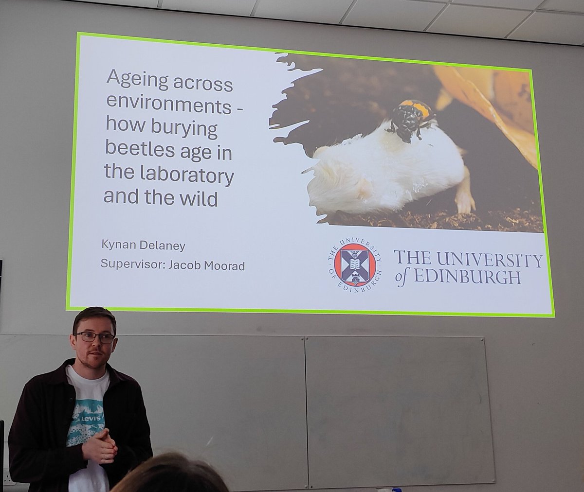 Kumari Riya Pati (@kumaririyapati) on Twitter photo Amazing time listening to <a href="/KynanDelaney/">Kynan Delaney</a> "Ageing across the environments in #buryingbeetles" in SEARG 2024 in University of Edinburgh.
Thanks for the fantastic arrangement by Hannah Froy and Sanjana Ravindran. Amazing time listening to <a href="/KynanDelaney/">Kynan Delaney</a> "Ageing across the environments in #buryingbeetles" in SEARG 2024 in University of Edinburgh.
Thanks for the fantastic arrangement by Hannah Froy and Sanjana Ravindran.