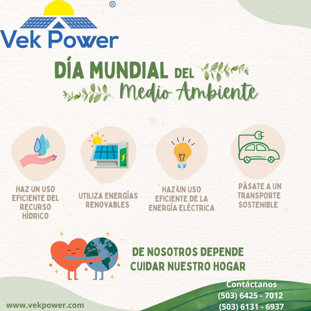 #DiaMundialdoAmbiente  Reflexionemos sobre la importancia de proteger nuestra #biodiversidad  y trabajar juntos por un futuro sostenible. 

¡Súmate al giro verde! 💚 ✅️♻️🔆🙌