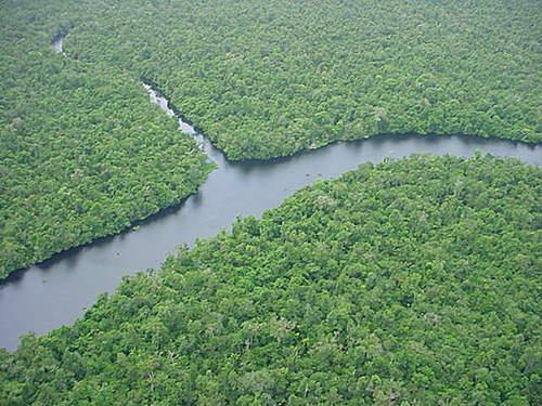 BioParques tweet media