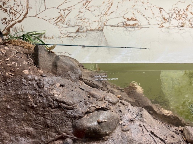 EcoStoich_Cooperative106161 tweet media