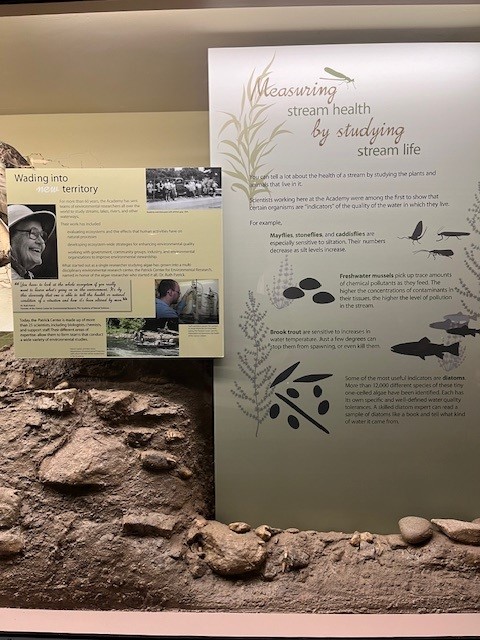 EcoStoich_Cooperative106161 tweet media